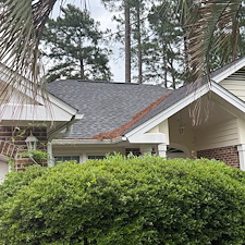 Tree-trimming-Pressure-Washing-Leaf-Blowing-in-Myrtle-Beach-SC 7
